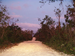 Dos Ojos, Sandweg zur Cenote