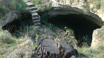 Pine Cave Einstieg